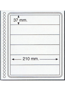 Fogli in cartoncino a 6 strisce finissima qualità 210 mm X 37 mm per ditta Marini e Abafil